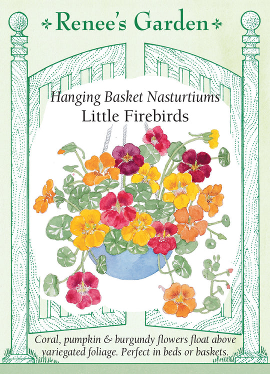 Nasturtium Little Firebirds - Renee's Garden