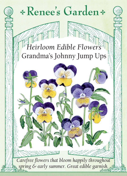Grandma’s Johnny Jump Ups Violas - Renee's Garden