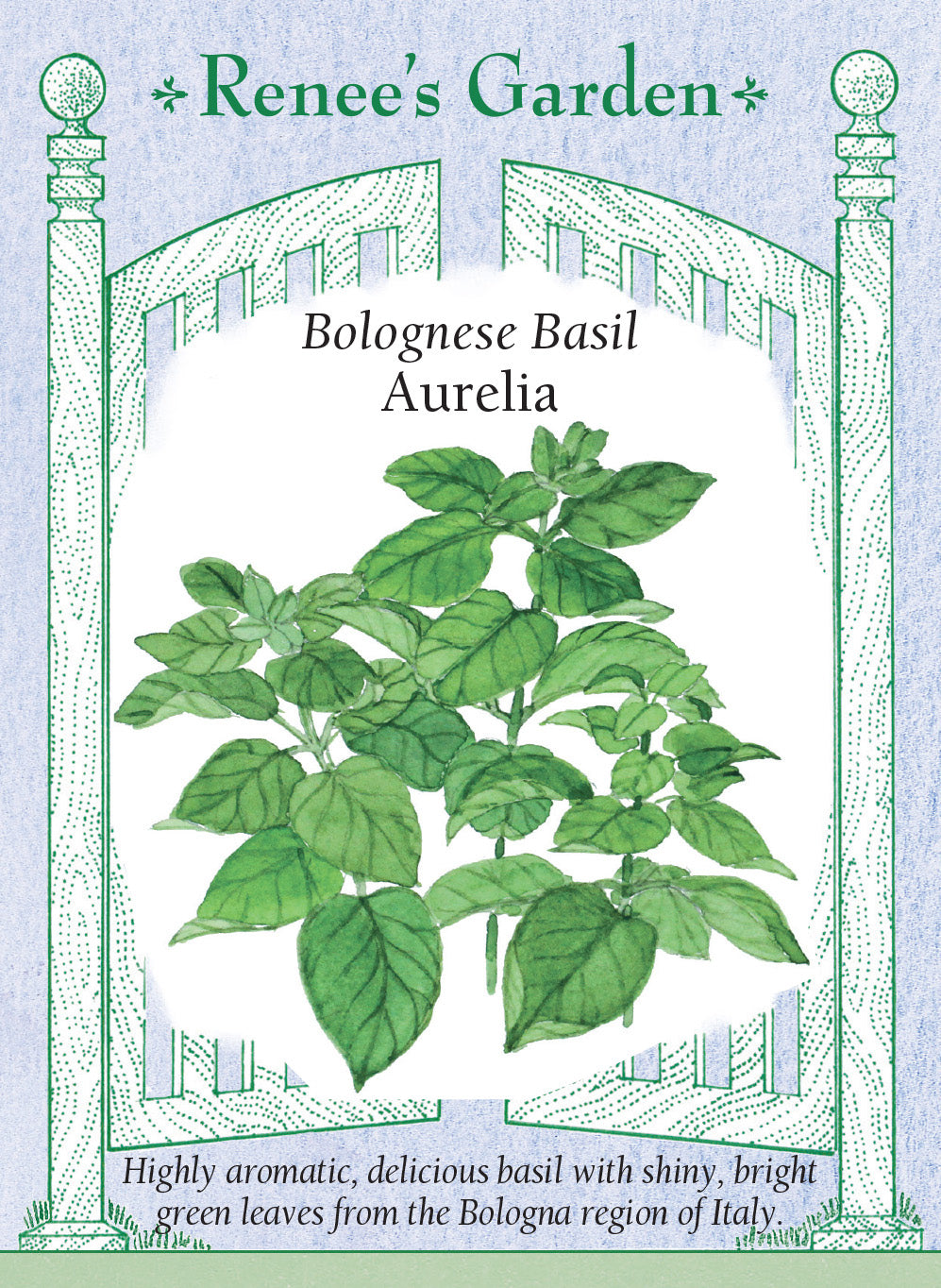 Basil Bolognese Aurelia - Renee's Garden
