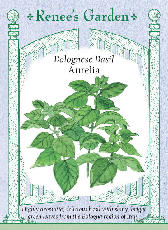 Basil Bolognese Aurelia - Renee's Garden