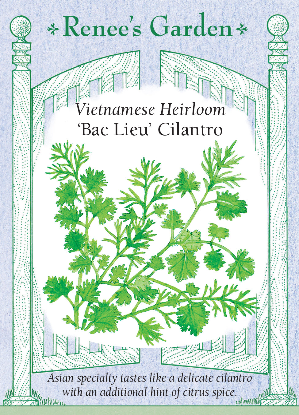 Cilantro Bac Lieu - Renee's Garden