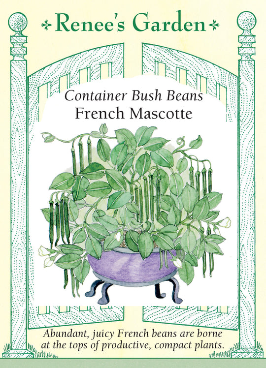 Bean French Mascotte - Renee's Garden