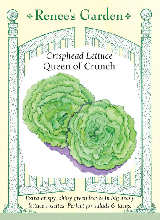 Lettuce Queen of Crunch - Renee's Garden