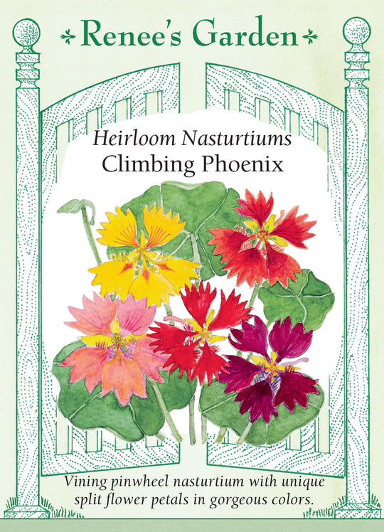 Nasturtium Climbing Phoenix - Renee's Garden