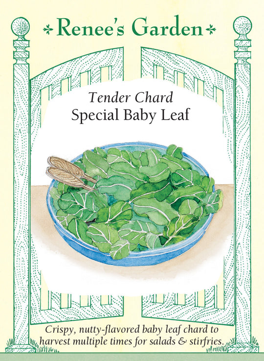 Chard Special Baby Leaf - Renee's Garden