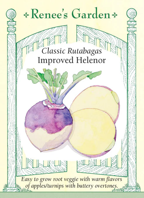 Rutabaga Improved Helenor - Renee's Garden