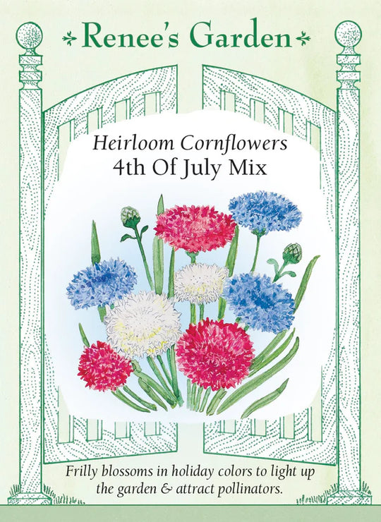 Cornflower 4th of July Mix - Renee's Garden