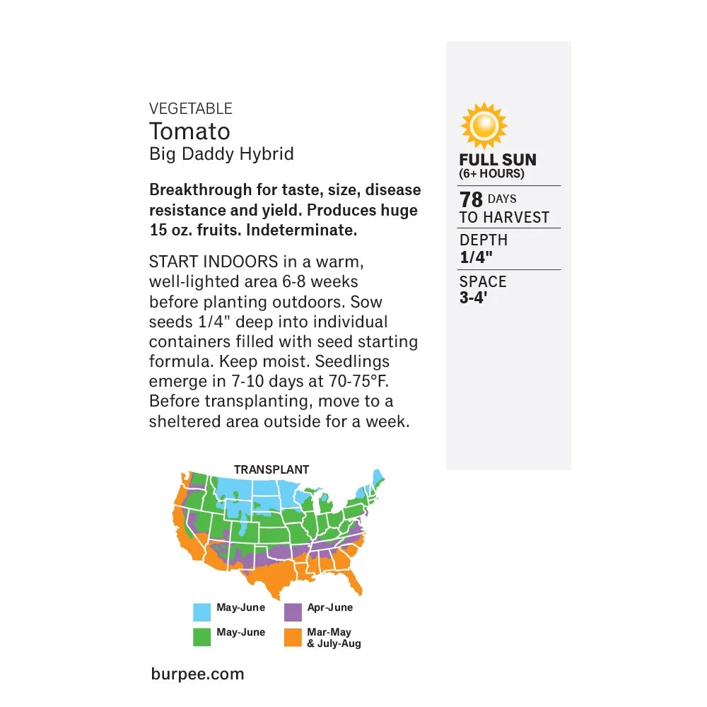 Tomato Big Daddy Hybrid - Burpee Seeds