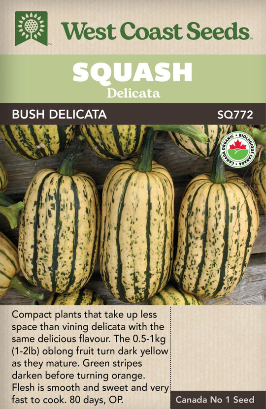 Organic Squash Bush Delicata - West Coast Seeds