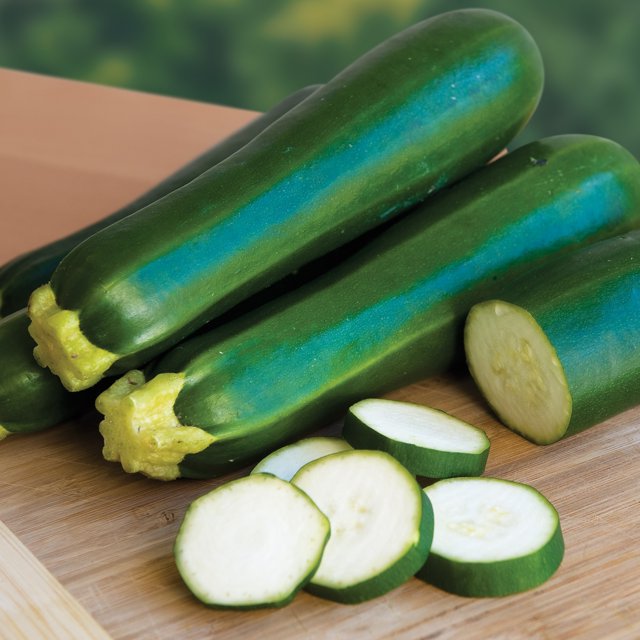 Organic Zucchini Dark Green - Burpee Seeds