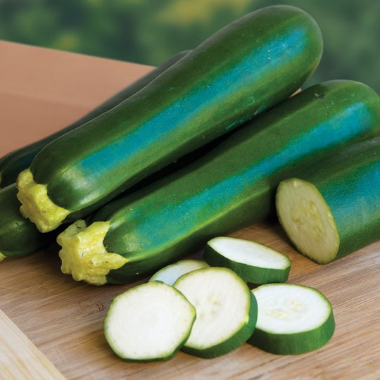 Organic Zucchini Dark Green - Burpee Seeds