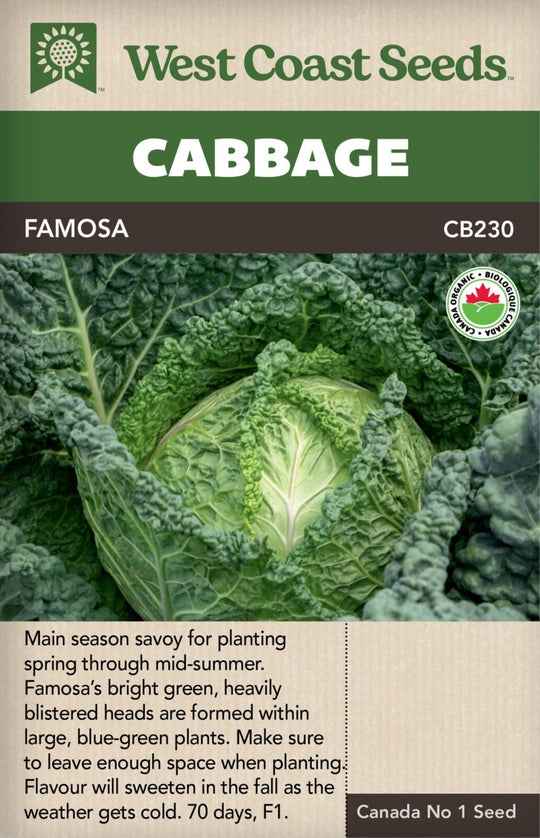 Organic Cabbage Famosa - West Coast Seeds