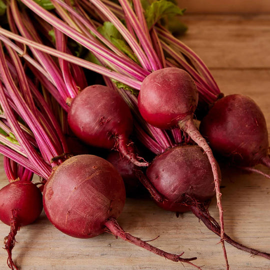 Beet Detroit Dark Red Medium Top - Burpee Seeds