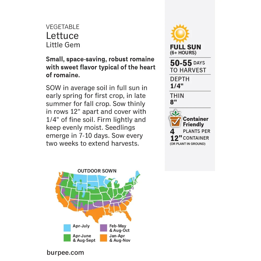 Lettuce Little Gem - Burpee Seeds