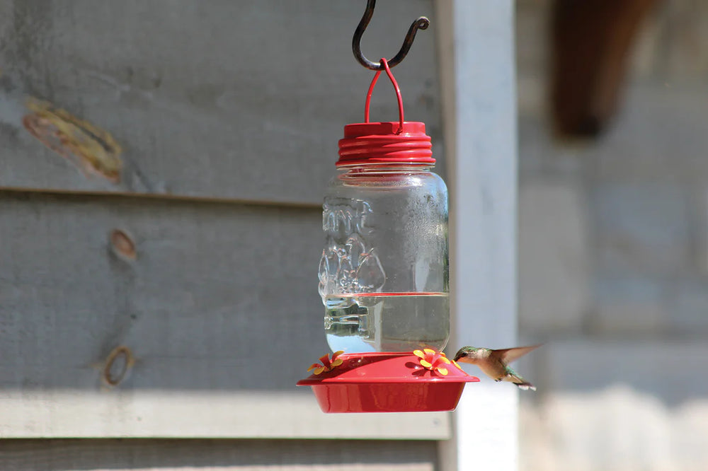 Mason Jar Style Glass Hummingbird Feeder - Pinebush Home & Garden