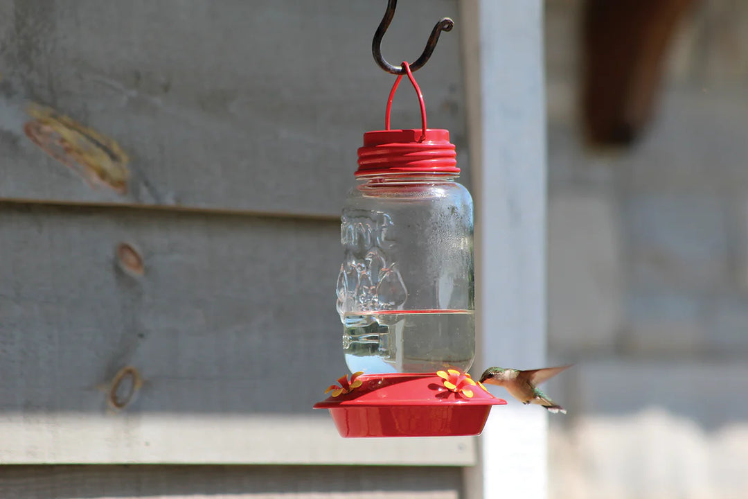 Mason Jar Style Glass Hummingbird Feeder - Pinebush Home & Garden