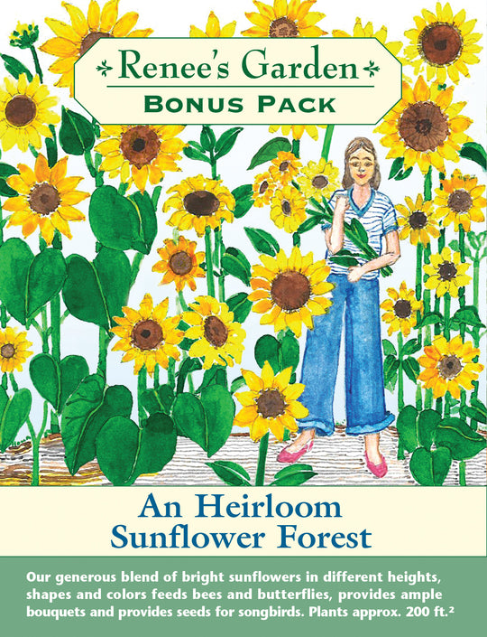 Sunflower An Heirloom Sunflower Forest Bonus Pack - Renee's Garden