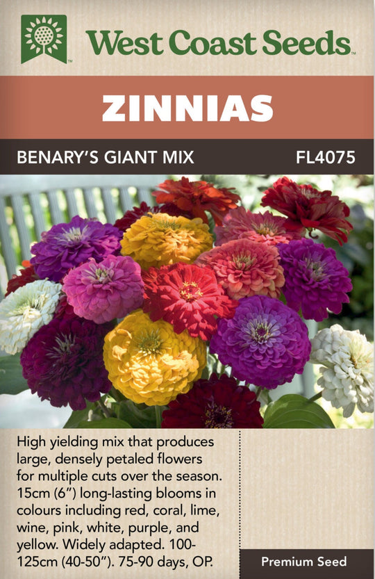 Zinnia Benary's Giant Mix - West Coast Seeds