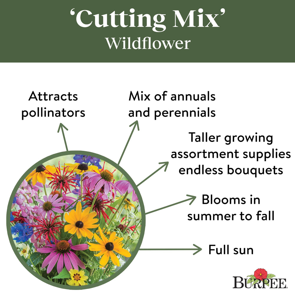 Wildflower Cutting Mix - Burpee Seeds