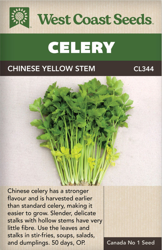 Celery Chinese Yellow Stem - West Coast Seeds