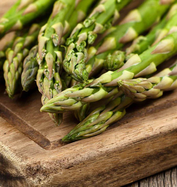 Asparagus Guelph Millennium - West Coast Seeds