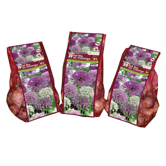 Allium - Tall Mix - Mesh Bag, 20 Pack