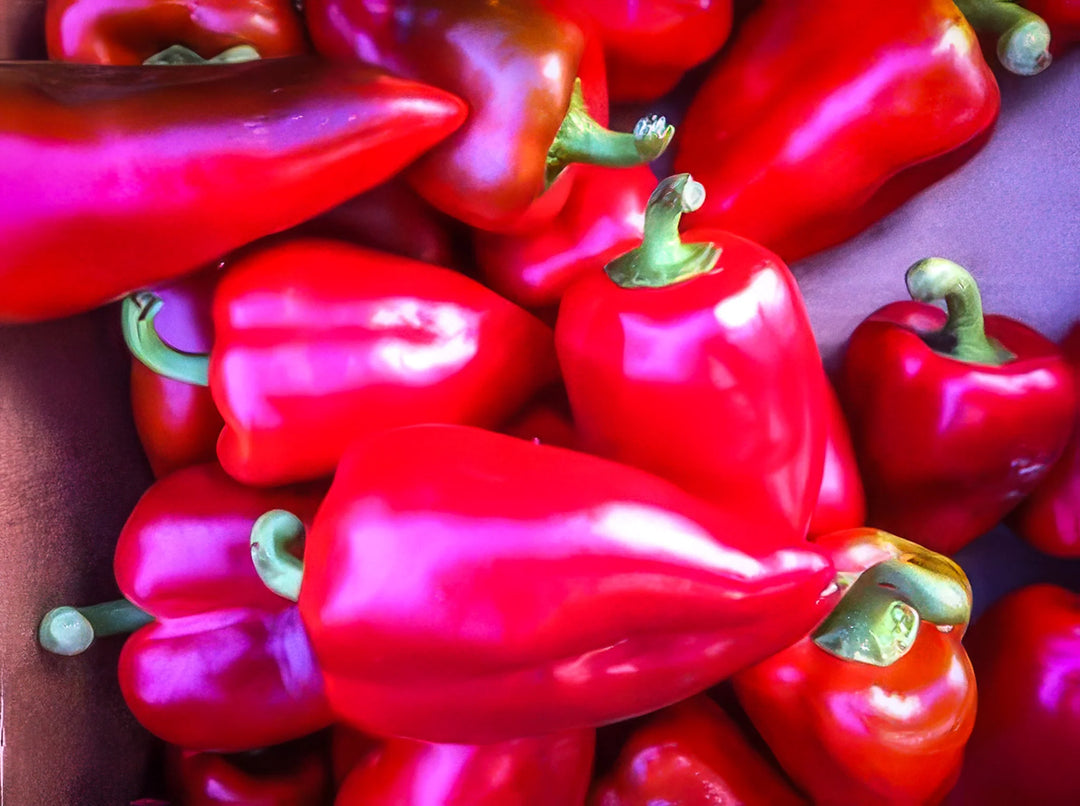 Pepper Apple Sweet Pimento - Salt Spring Seeds