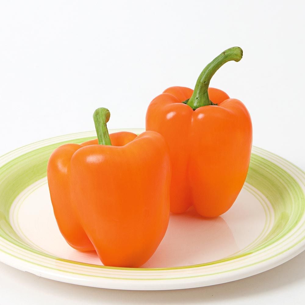 Ariane Sweet Pepper - Eagleridge Seeds