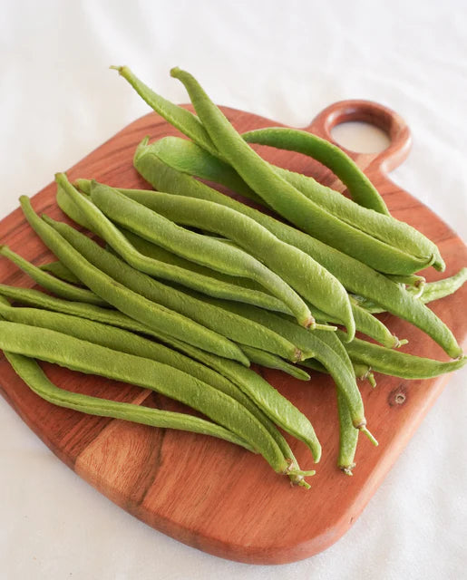 Runner Bean Sunset - West Coast Seeds