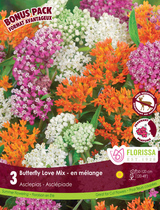 Asclepias - Butterfly Love Mix, 3 Pack