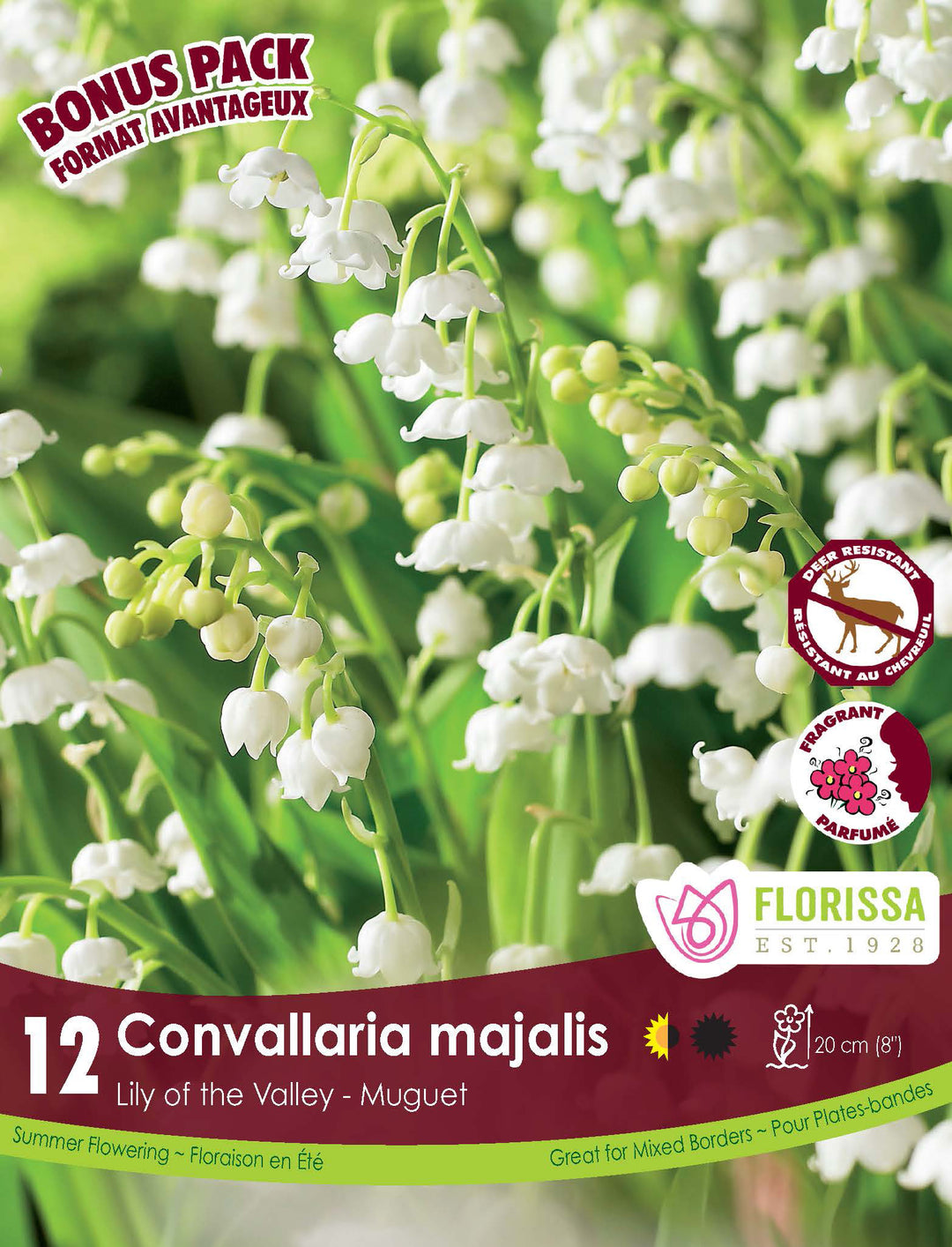 Convallaria Majalis, BONUS 10 Pack