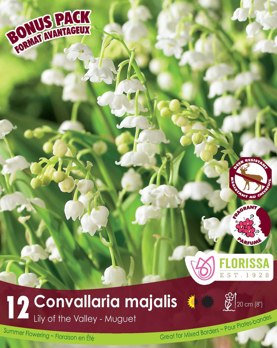 Convallaria Majalis, BONUS 10 Pack