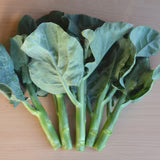 Broccoli Crown Jade - West Coast Seeds