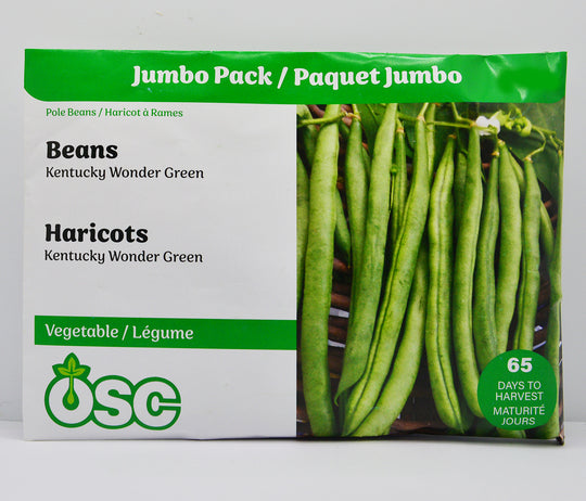 Beans Kentucky Wonder Green Jumbo - Ontario Seed Company