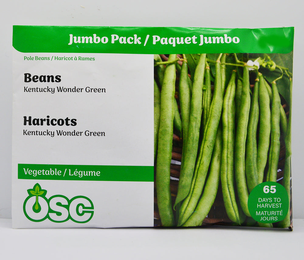 Beans Kentucky Wonder Green Jumbo - Ontario Seed Company