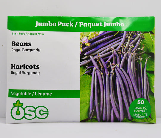 Beans Royal Burgundy Jumbo - Ontario Seed Company