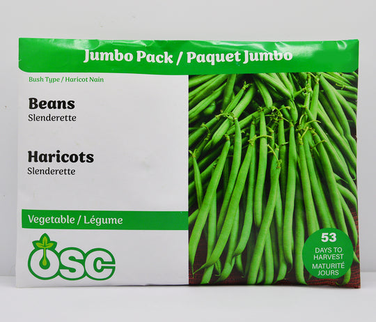 Bean Slenderette Jumbo - Ontario Seed Company