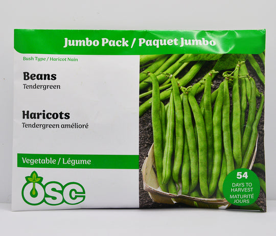 Beans Tendergreen Jumbo - Ontario Seed Company