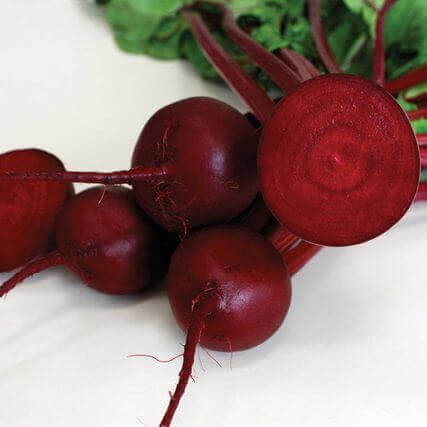 Beet Robin Hybrid Baby Beet International - Aimers Seeds
