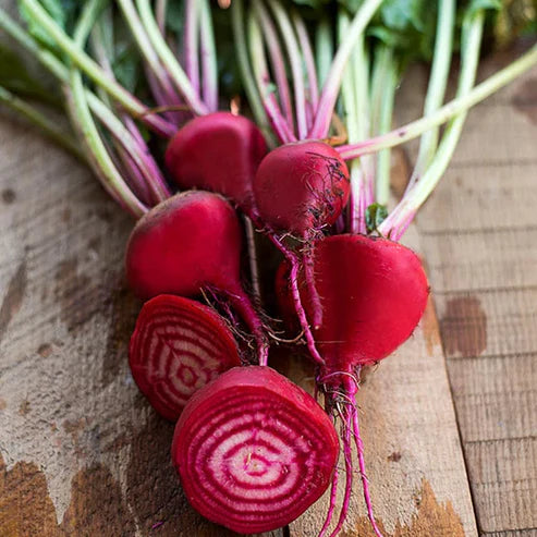 Beet Chioggia - Saanich Organics