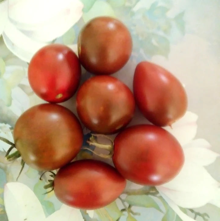 Tomato Black Brandywine - Eagleridge Seeds