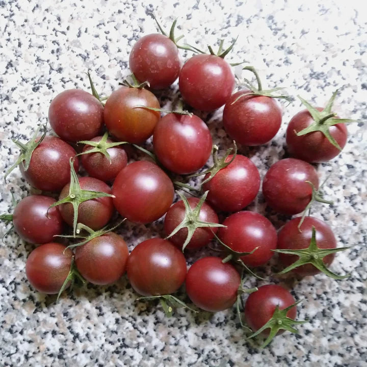 Tomato Black Cherry - Eagleridge Seeds
