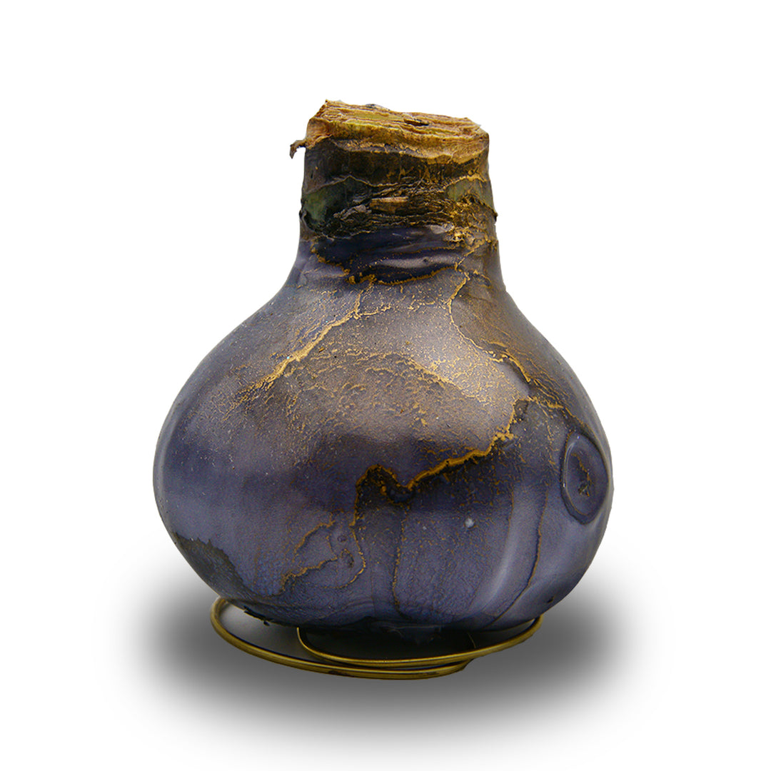 Waxed Amaryllis Galaxy Swirl - Red Bloom