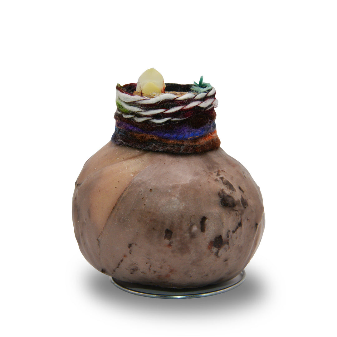 Amaryllis - Boho Chic Natural Wax - Red Bloom