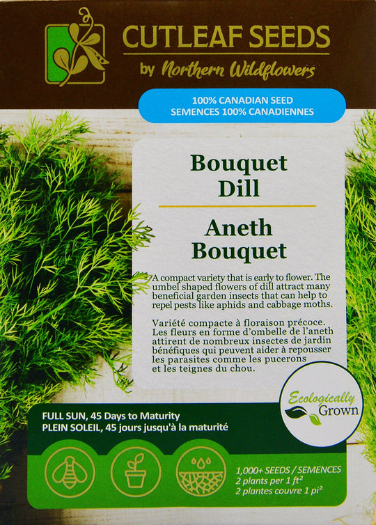 Dill Bouquet - Northern Wildflowers