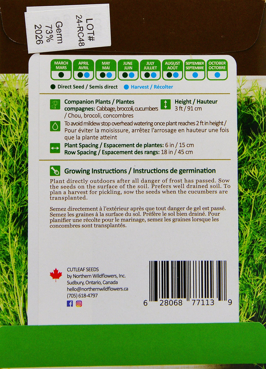 Dill Bouquet - Northern Wildflowers