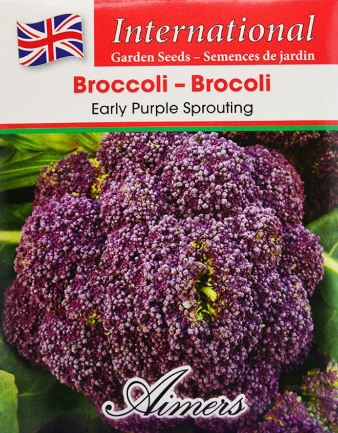 Broccoli Early Purple International - Aimers Seeds