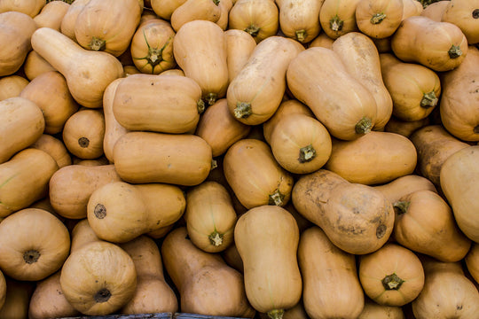 Squash Brûlée Butternut - Northern Wildflowers