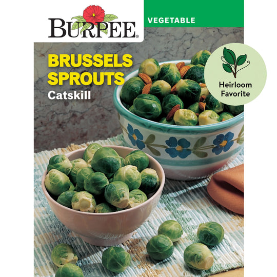 Brussels Sprouts Catskill - Burpee Seeds