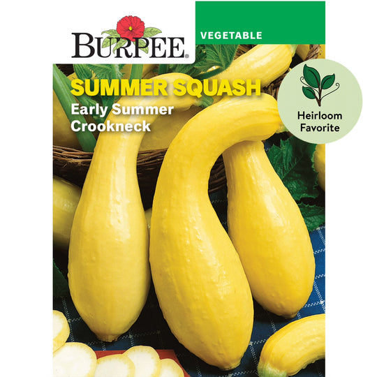 Squash Early Summer Crookneck - Burpee Seeds